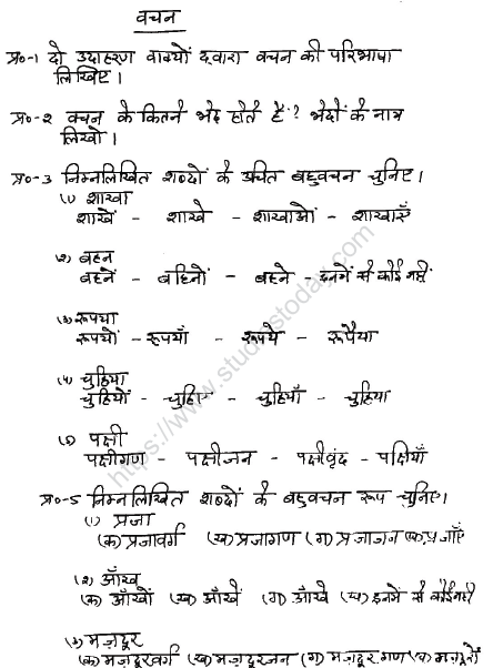 CBSE Class 6 Hindi Sample Paper Set W