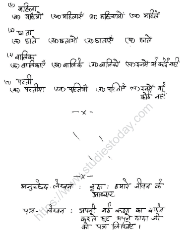 CBSE Class 6 Hindi Sample Paper Set W