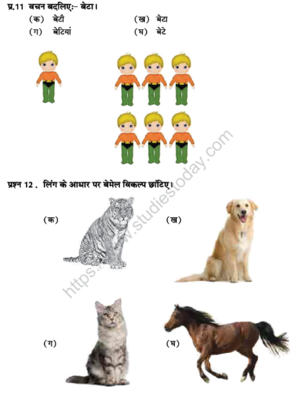CBSE Class 6 PSA Sample Paper Set A