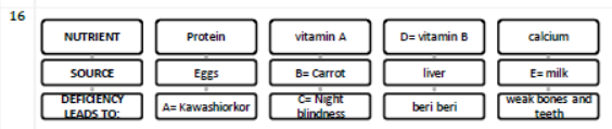 CBSE Class 6 Science Sample Paper Set H