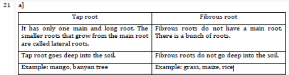 CBSE Class 6 Science Sample Paper Set H