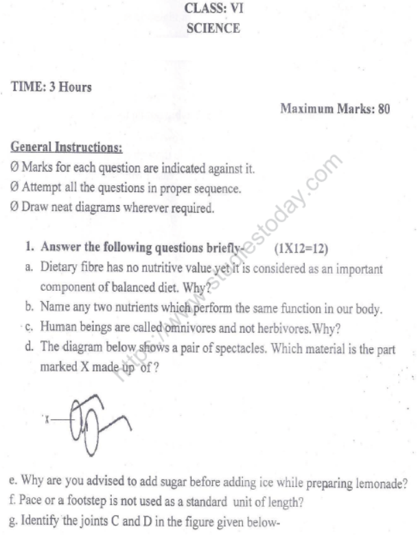 CBSE Class 6 Science Sample Paper Set N