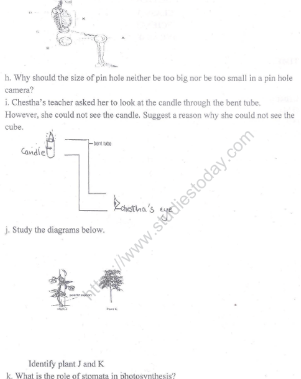 CBSE Class 6 Science Sample Paper Set N