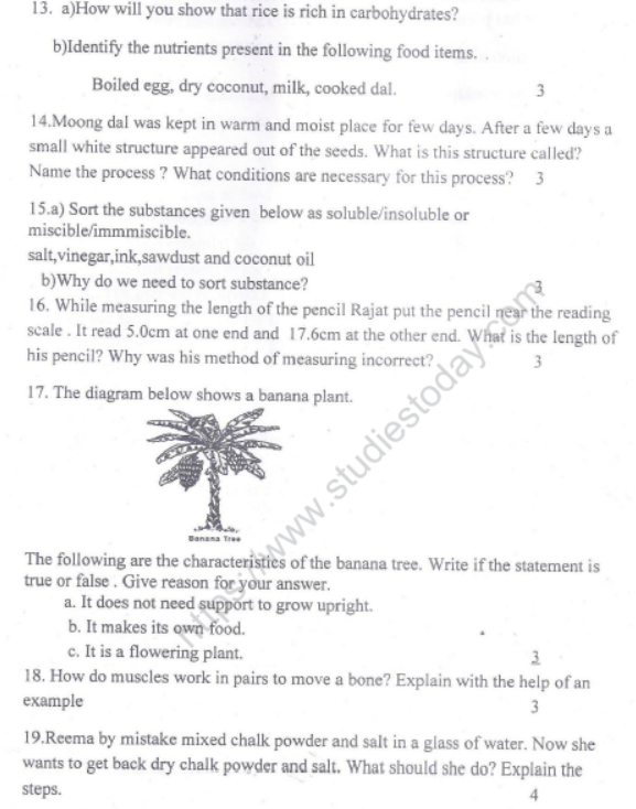 CBSE Class 6 Science Sample Paper Set N