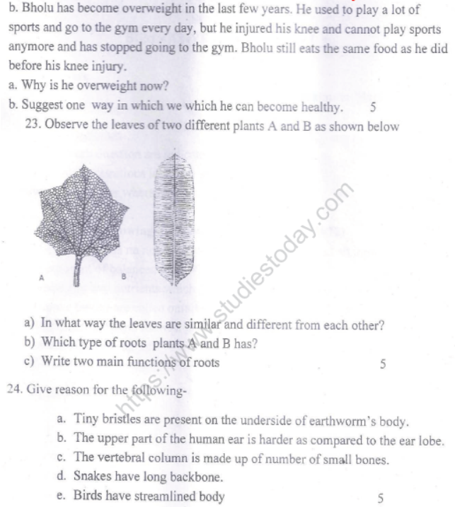 CBSE Class 6 Science Sample Paper Set N