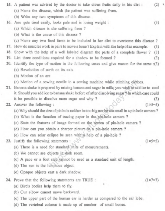 CBSE Class 6 Science Sample Paper Set P