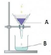 CBSE Class 6 Science Sample Paper Set G