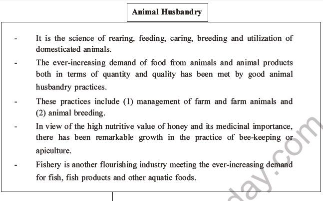 NEET Biology Animal Husbandry and Plant Breeding MCQs Set A-11