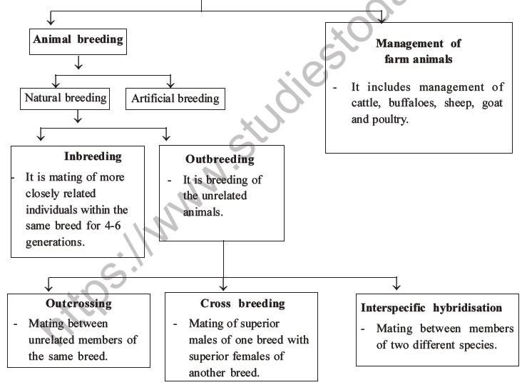 NEET Biology Animal Husbandry and Plant Breeding MCQs Set A-12