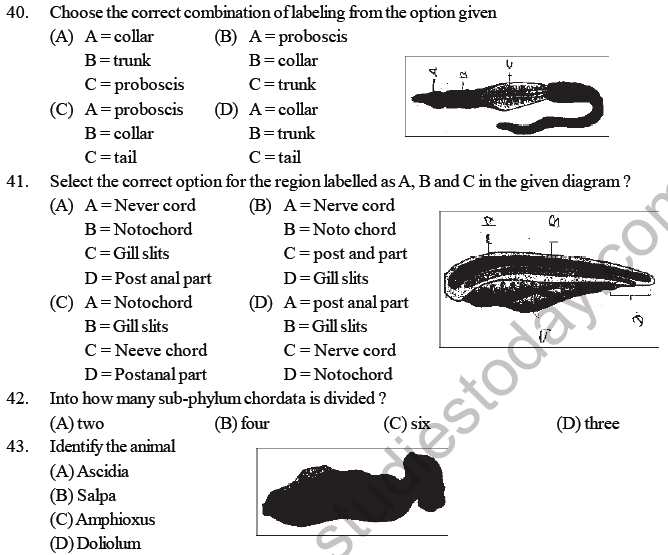 NEET Biology Animal Kingdom MCQs-