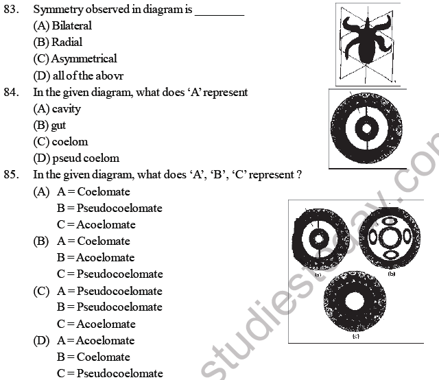 NEET Biology Animal Kingdom MCQs-2