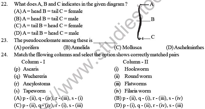 NEET Biology Animal Kingdom MCQs