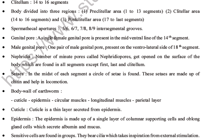 NEET Biology Animal Morphology and Anatomy MCQs Set A-