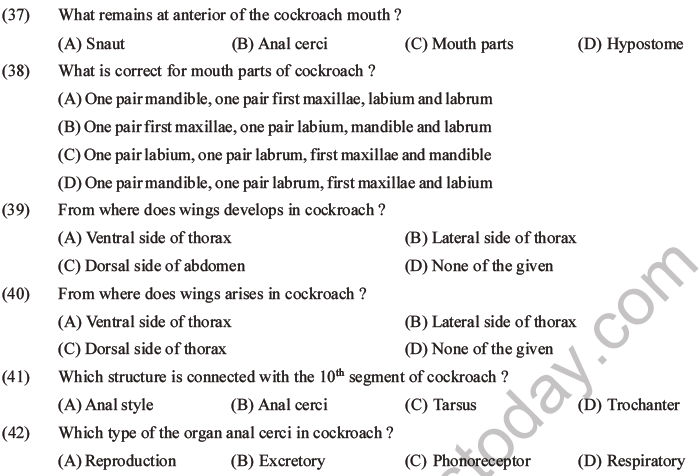 NEET Biology Animal Morphology and Anatomy MCQs Set A-18