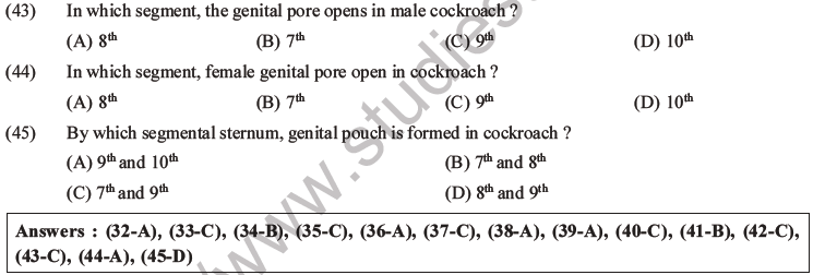 NEET Biology Animal Morphology and Anatomy MCQs Set A-19