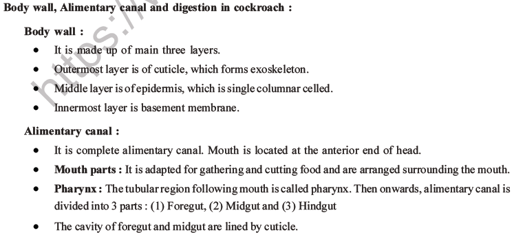 NEET Biology Animal Morphology and Anatomy MCQs Set A-20