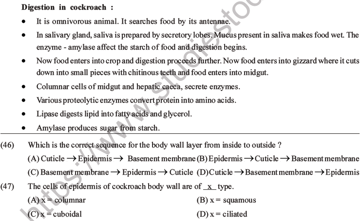 NEET Biology Animal Morphology and Anatomy MCQs Set A-22