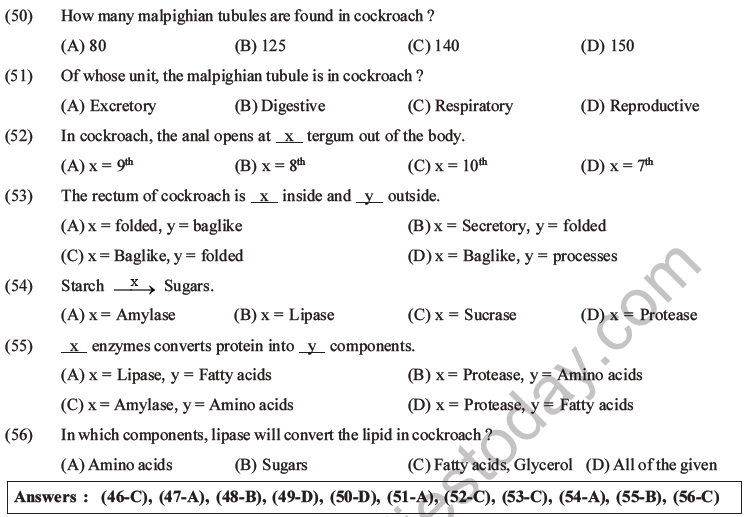 NEET Biology Animal Morphology and Anatomy MCQs Set A-24