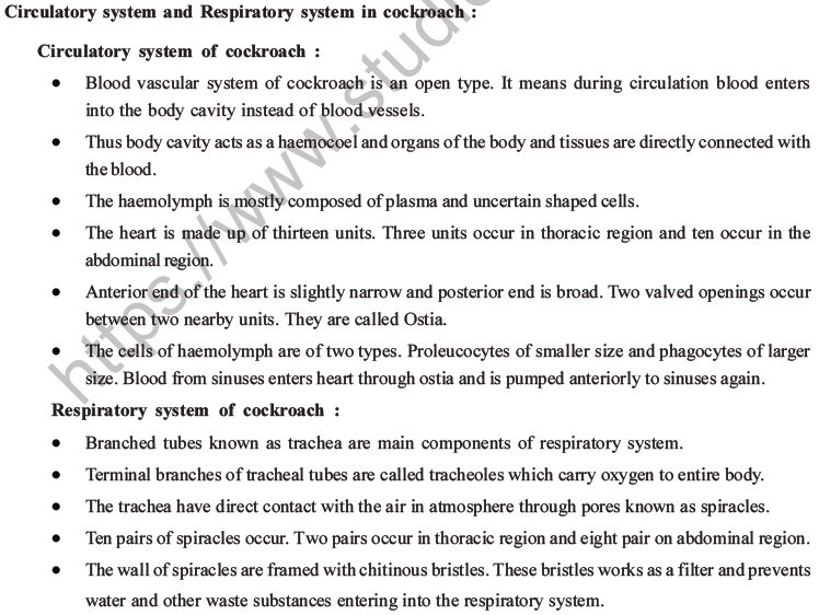 NEET Biology Animal Morphology and Anatomy MCQs Set A-25