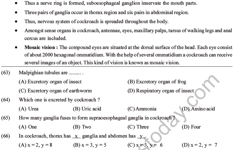 NEET Biology Animal Morphology and Anatomy MCQs Set A-26