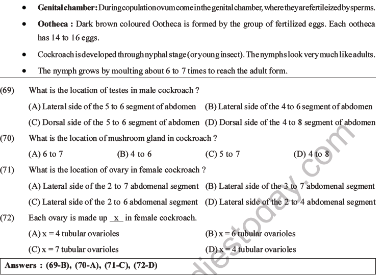 NEET Biology Animal Morphology and Anatomy MCQs Set A-28