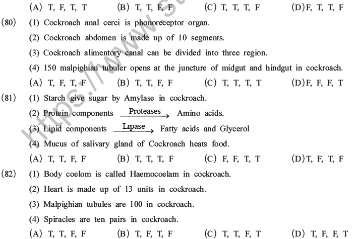 NEET Biology Animal Morphology and Anatomy MCQs Set A-31