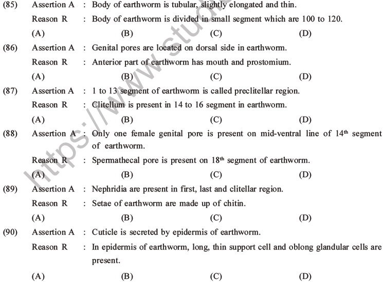 NEET Biology Animal Morphology and Anatomy MCQs Set A-33