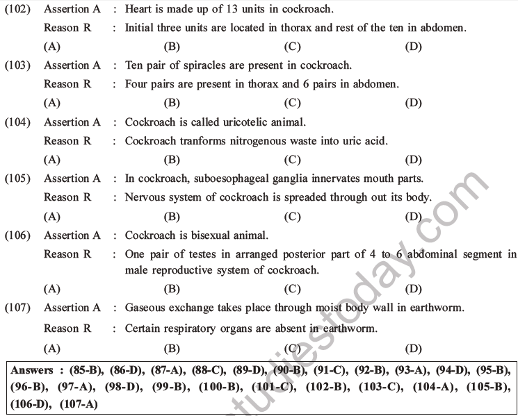 NEET Biology Animal Morphology and Anatomy MCQs Set A-36