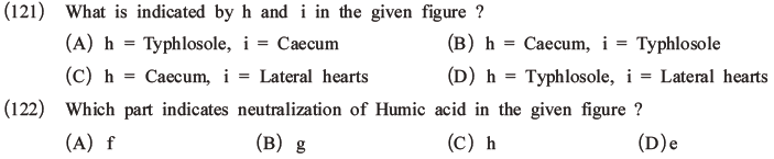 NEET Biology Animal Morphology and Anatomy MCQs Set A-42