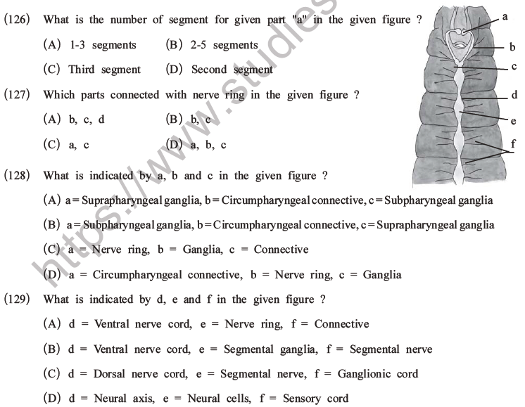 NEET Biology Animal Morphology and Anatomy MCQs Set A-44