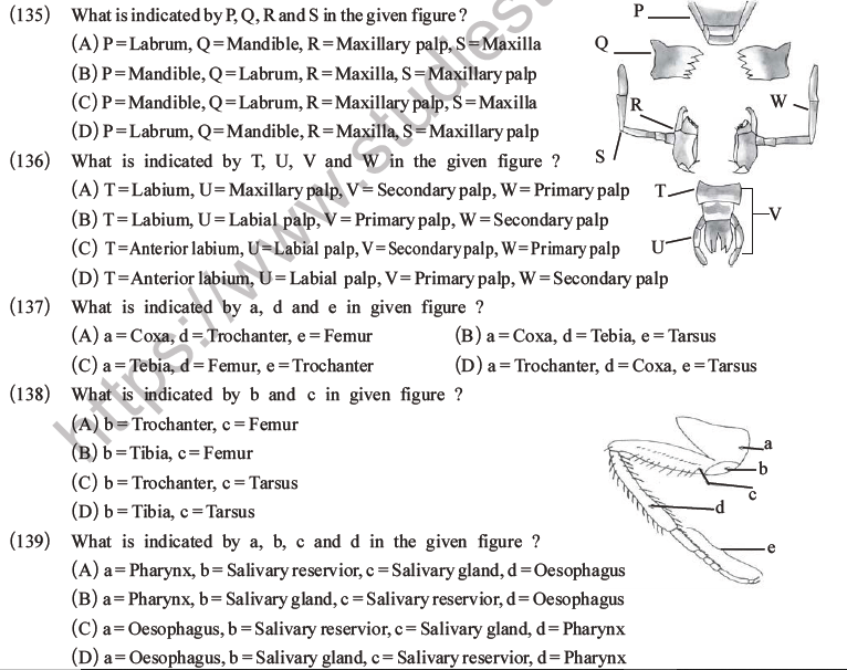 NEET Biology Animal Morphology and Anatomy MCQs Set A-46