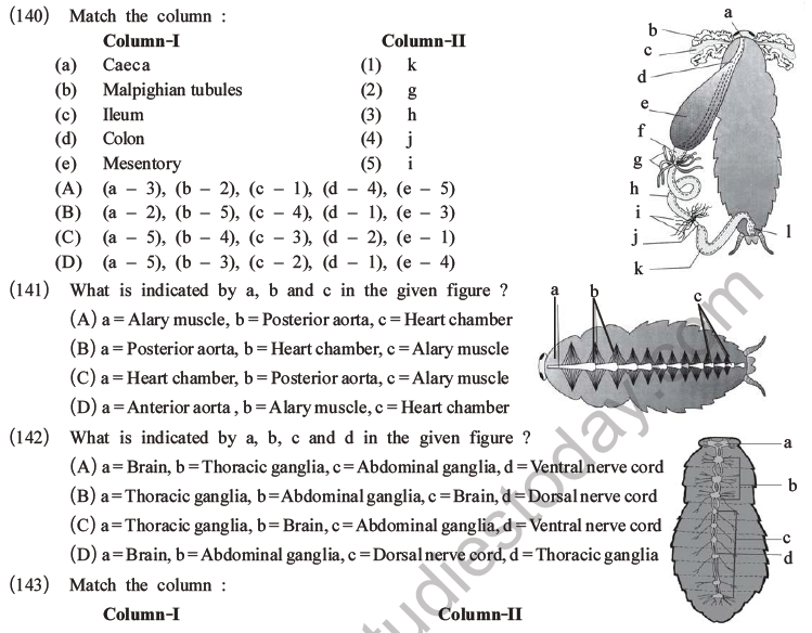 NEET Biology Animal Morphology and Anatomy MCQs Set A-47