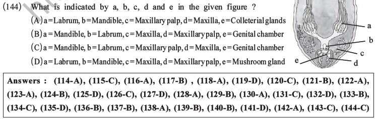 NEET Biology Animal Morphology and Anatomy MCQs Set A-49