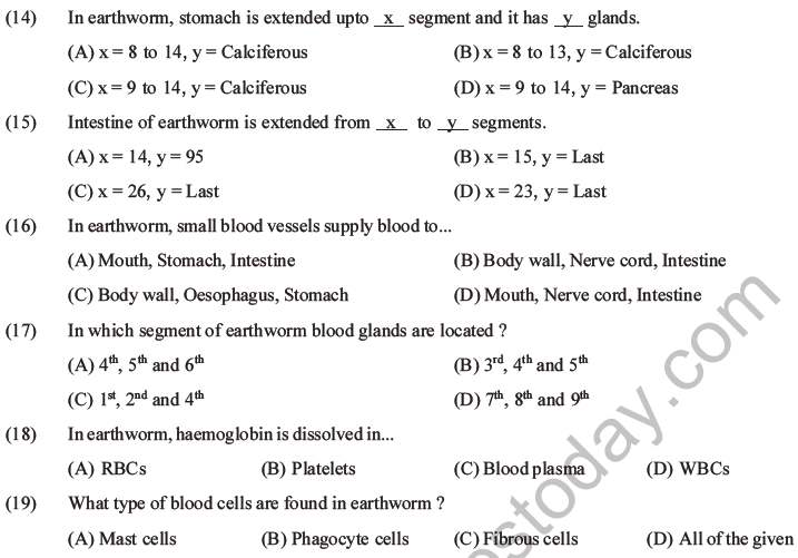 NEET Biology Animal Morphology and Anatomy MCQs Set A