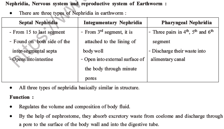 NEET Biology Animal Morphology and Anatomy MCQs Set A-7