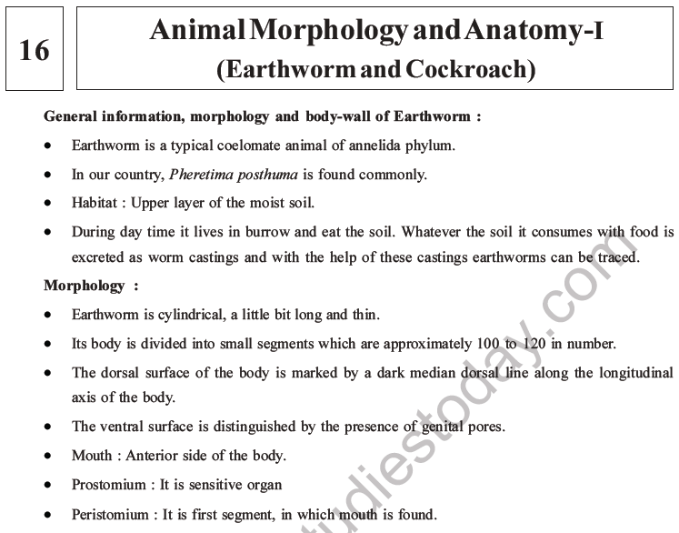 NEET Biology Animal Morphology and Anatomy MCQs Set A, Multiple Choice  Questions