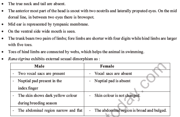 NEET Biology Animal Morphology and Anatomy MCQs Set B-1