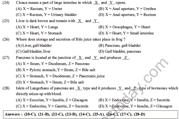 NEET Biology Animal Morphology and Anatomy MCQs Set B-10