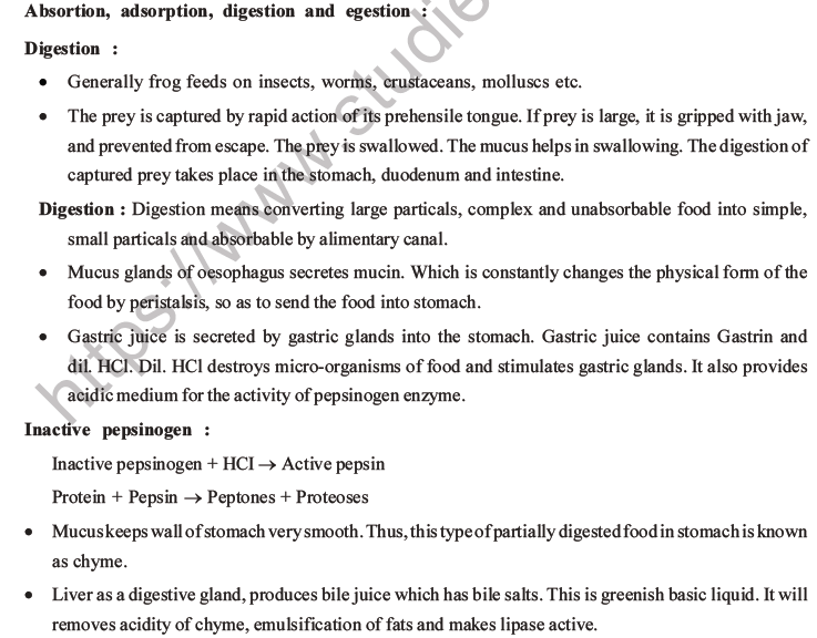 NEET Biology Animal Morphology and Anatomy MCQs Set B-13