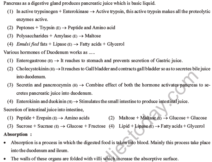 NEET Biology Animal Morphology and Anatomy MCQs Set B-14