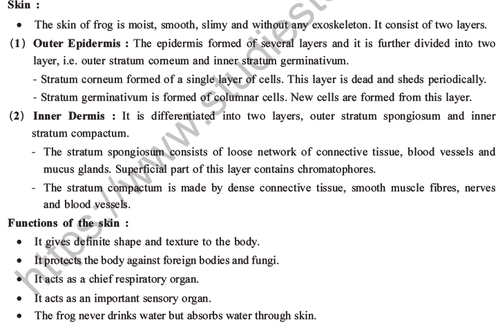 NEET Biology Animal Morphology and Anatomy MCQs Set B-2