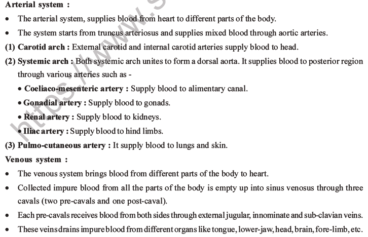 NEET Biology Animal Morphology and Anatomy MCQs Set B-21