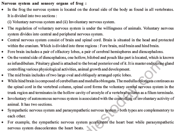 NEET Biology Animal Morphology and Anatomy MCQs Set B-24