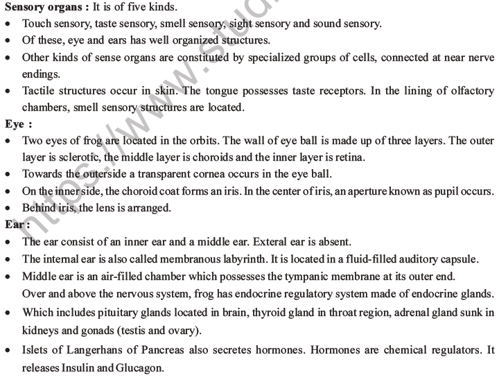 NEET Biology Animal Morphology and Anatomy MCQs Set B-25