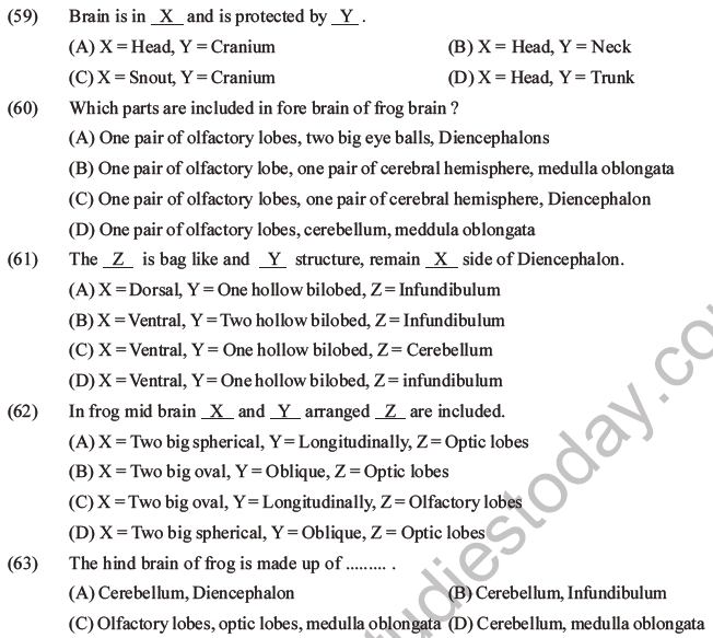 NEET Biology Animal Morphology and Anatomy MCQs Set B-26