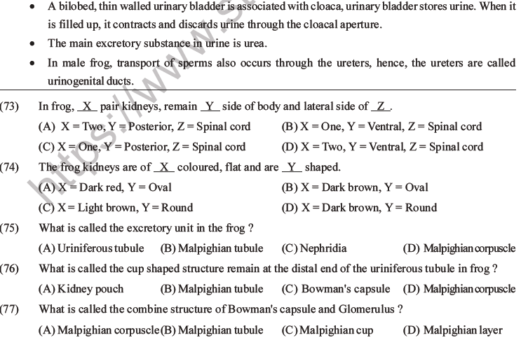 NEET Biology Animal Morphology and Anatomy MCQs Set B-29