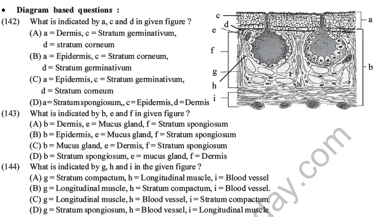 NEET Biology Animal Morphology and Anatomy MCQs Set B-47