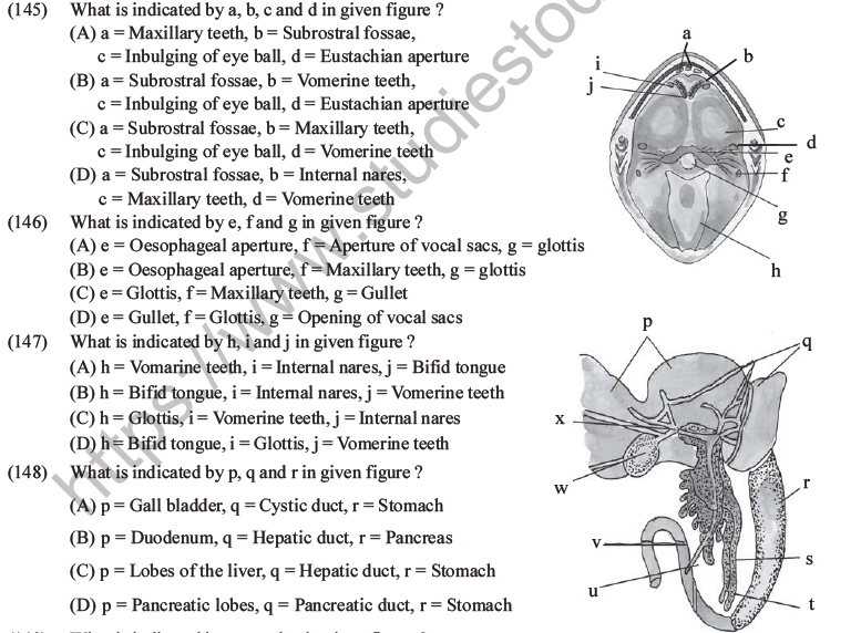 NEET Biology Animal Morphology and Anatomy MCQs Set B-48