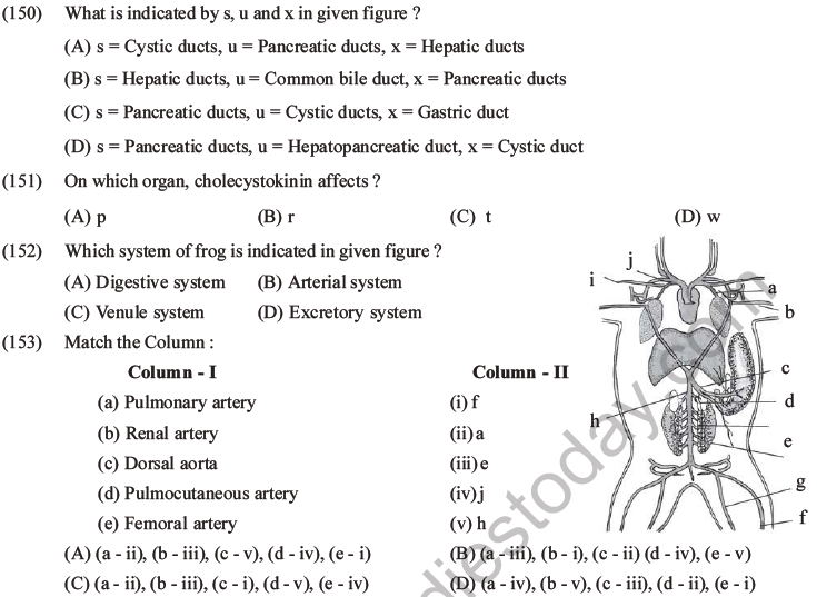 NEET Biology Animal Morphology and Anatomy MCQs Set B-50