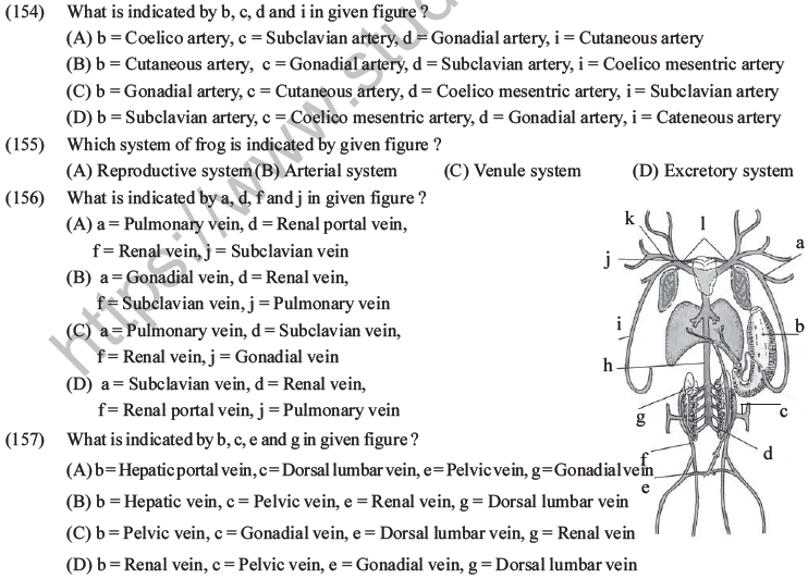 NEET Biology Animal Morphology and Anatomy MCQs Set B-51